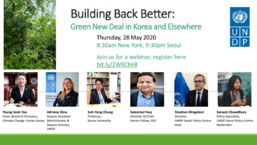 Building Back Better: Green New Deal in Korea and Elsewhere